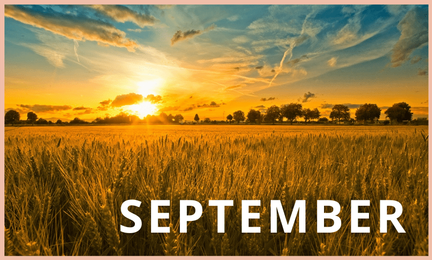 September Awards Blog 884x532 FINAL