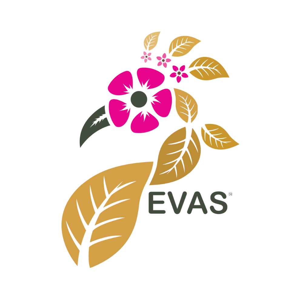 EVAS logos sq format light