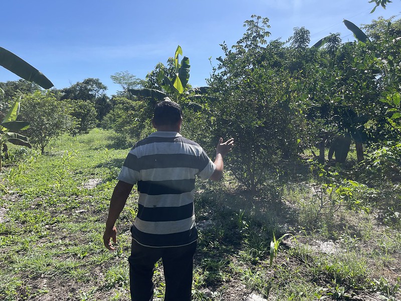 55115792029 b00e72b646 c