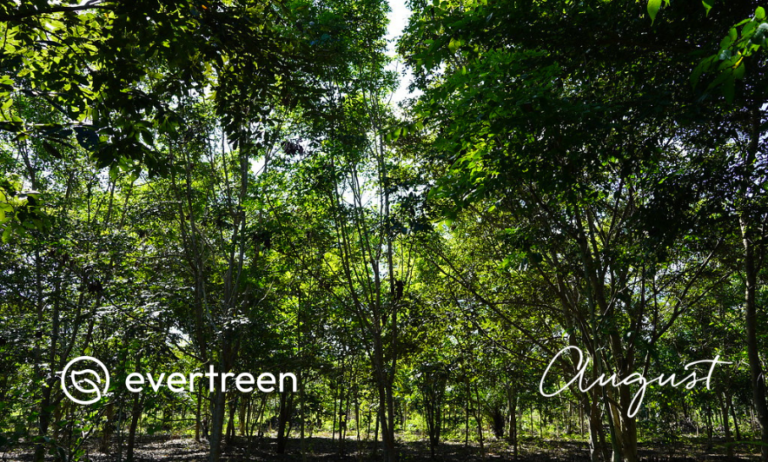 Earth Day 2026: How We’re Turning Recognition into Real-World Impact